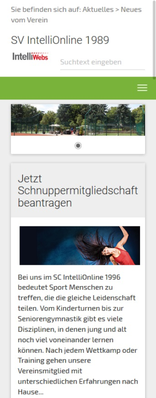 Smartphoneansicht eines responsiven Layouts