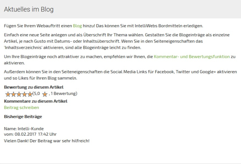 Blog mit IntelliWebs