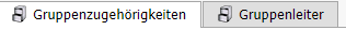 Zugehörigkeit Gruppen in IntelliVerein