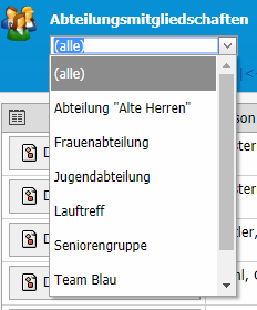 Möglichkeiten Schnellsuche IntelliVerein